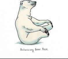 a drawing of a polar bear sitting on its back with the caption balancing bear pose