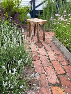 a wooden bench sitting in the middle of a garden filled with purple and white flowers