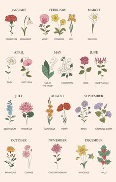 an image of flowers that are in different colors and sizes, with the names on them