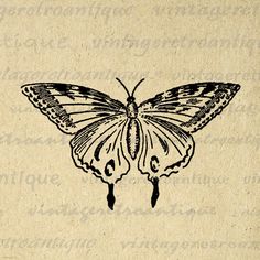 a drawing of a butterfly sitting on top of a piece of paper