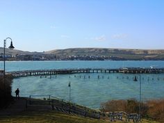 a person standing on the edge of a body of water with a pier in the background