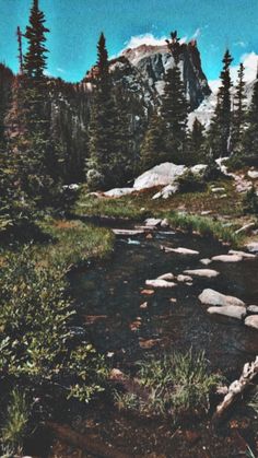 a stream running through a forest filled with lots of trees and rocks next to a mountain