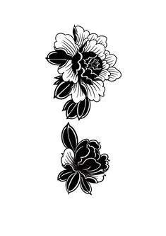 two black and white flowers on a white background