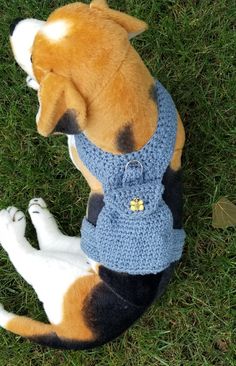 a dog is wearing a blue crochet sweater and sitting on the grass looking up