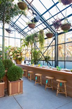 an indoor garden with potted plants and wooden stools in front of the counter