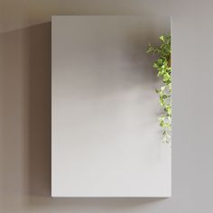 a plant is growing on top of a white square piece of paper that has been placed on the wall