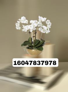 a vase with white flowers on top of a table next to a sign that says 1010