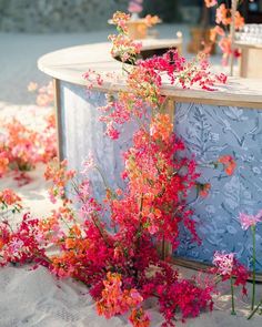 pink and red flowers are growing out of the sand