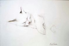 a pencil drawing of a cat laying down