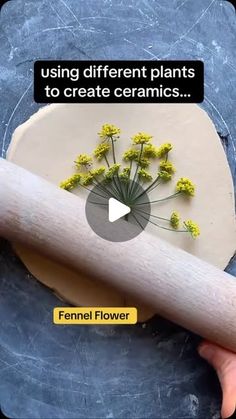 someone is using different plants to create ceramics