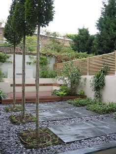 a small tree is in the middle of a graveled area with rocks and plants