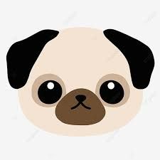 a cute little pug face with big eyes