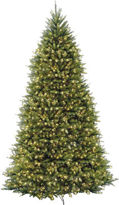 a green christmas tree with white lights on the top and bottom branches, against a white background