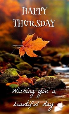 Happy Thursday! I hope you have a beautiful day! 🌞 Iphone Wallpapers Funny, Wallpaper Laptop Christmas, Happy Thursday Images Beautiful, Thrilling Thursday, Aesthetic Wallpaper Christmas, Christmas Wallpaper Laptop, Elf On The Shelf Welcome, Losing Touch With Reality, Elf On Shelf Ideas