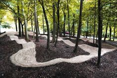 a dirt bike trail in the woods with trees