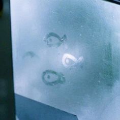 the face of a person is seen through frosted glass on a window sill