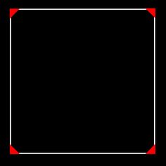 a black and white square with red border on the edges, in front of a black background