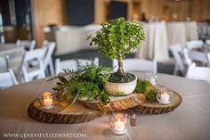 a bonsai tree in a pot on a wooden slice at a table with candles