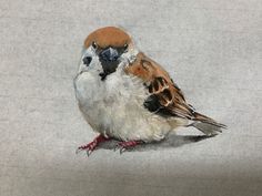 a painting of a bird sitting on top of a white surface with brown and black feathers