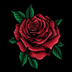 a red rose with green leaves on a black background is featured in this image, it appears to be an illustration