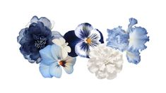 blue and white flowers on a white background