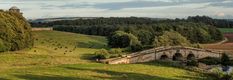 an old stone bridge over a stream in the middle of a field with cows grazing on it