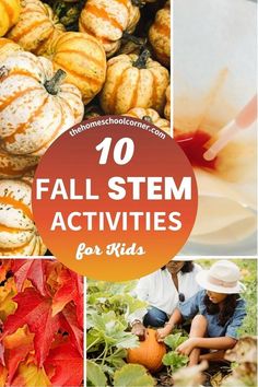 Check out this post about 10 hands-on fall STEM activities designed for kindergarten through 2nd grade! From pumpkin catapults and leaf chromatography to apple eruptions and corn kernel structures, these activities will spark curiosity and creativity. Each experiment encourages problem-solving and critical thinking while letting kids explore the wonders of fall through science, technology, engineering, and math. Perfect for the classroom or home learning! Read the post at thehomeschoolcorner.com Fall Stem Activities For Kids, Fall Stem Activities, Stem Activities For Kids, Fall Stem, Kids Exploring, Corn Kernel, Home Learning