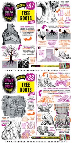 an illustrated poster with different types of trees