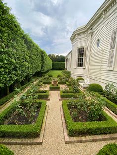 an outdoor garden area with hedges and shrubs in the center, surrounded by white houses