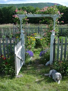 a dog is laying in the grass near a white fence and flowers on it's side