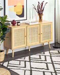 a living room with a rug, potted plants and a wooden cabinet in the corner