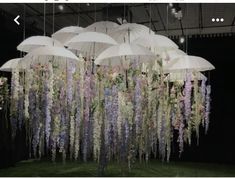 there are many umbrellas hanging from the ceiling with flowers all over them and in the air