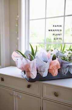 some flowers are sitting on top of a table near a window with the words paper wrapped plant gifts