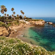 the beach is lined with palm trees and flowers