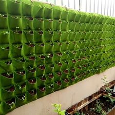 a wall made out of green bags filled with plants