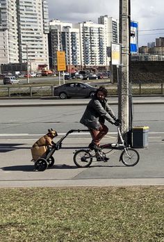 a person riding a bike with a dog on the back