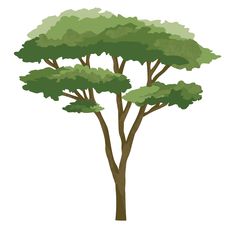 an illustration of a tree with green leaves