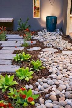 a garden with rocks and plants next to a building