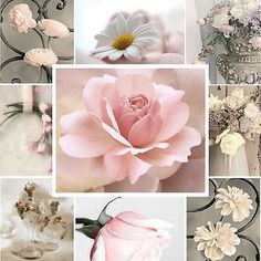 a collage of pink and white flowers