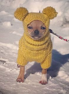 a small dog wearing a yellow knitted sweater and hat with ears on it's head