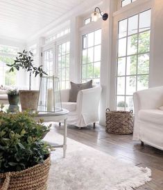 a living room filled with white furniture and lots of plants on top of a wooden floor