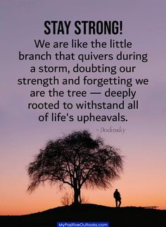 a person standing in front of a tree with the words stay strong we are like the little branch that delivers during a storm, doubting our strength and