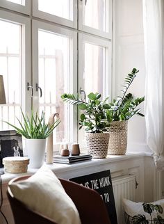 some plants are sitting on a window sill