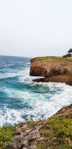 an ocean view with waves crashing on the rocks and green plants growing along the shore