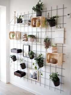 the wall is filled with plants and pictures on it's sides, along with hanging planters