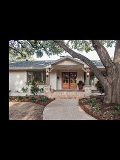 a house that has a tree in front of it