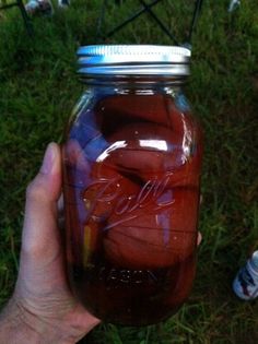 a person holding a mason jar filled with liquid