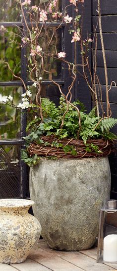 a large potted plant sitting on top of a wooden table next to a candle