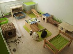 an aerial view of a living room filled with furniture and cat beds in the corner