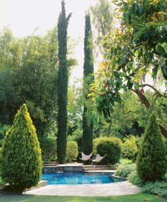 an outdoor swimming pool surrounded by trees and bushes